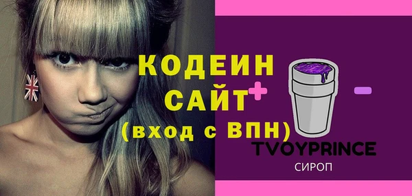 твердый Новозыбков