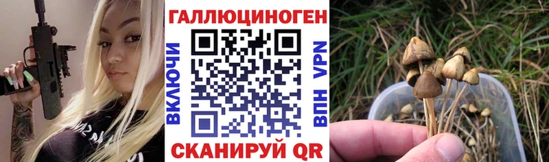 omg ССЫЛКА  где можно купить наркотик  Няндома  Галлюциногенные грибы Psilocybine cubensis 